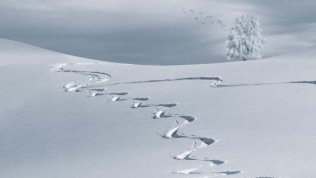 snow removal
