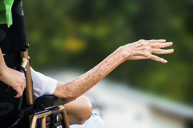 Enhancing Senior Living: The Role of Elderly Companion Services in Home Maintenance