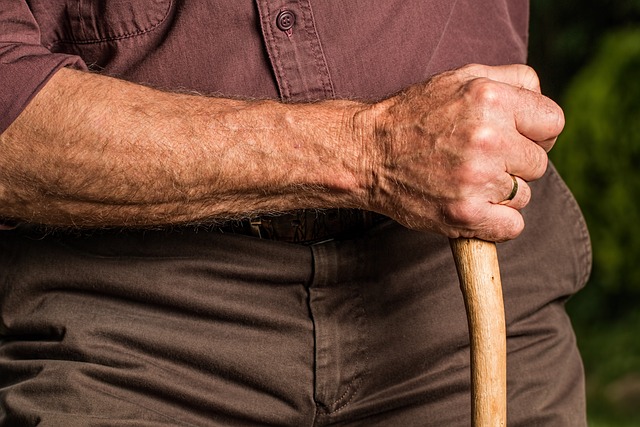 Elderly Companion Services: Combating Loneliness & Enhancing Senior Care at Home