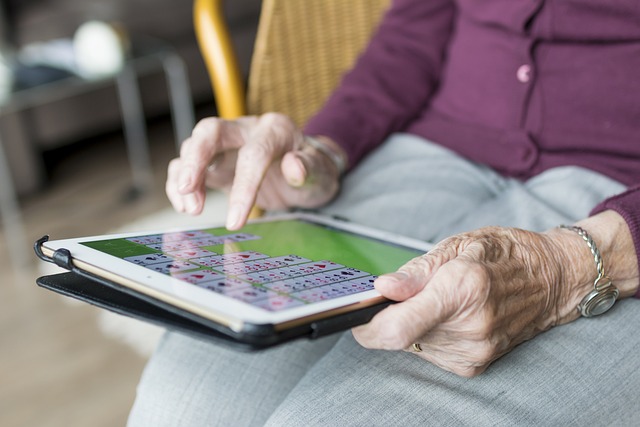 Elderly Companion Services: Tech-Enhanced In-Home Health Monitoring for Senior Well-Being