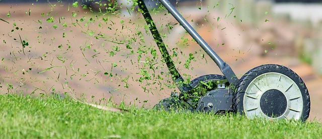 Seasonal Yard Cleanup Essentials for Vibrant Lawns Year-Round