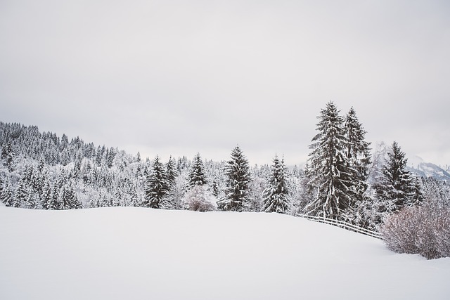 snow removal