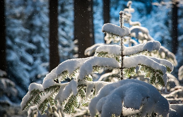 Optimizing Commercial Snow Plowing Operations for Maximum Efficiency