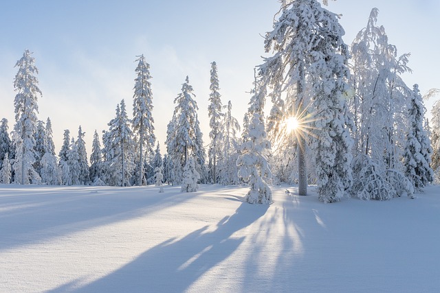 snow removal