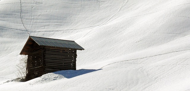 Backyard Sheds: Blending Style and Functionality with Portable Lofted Buildings