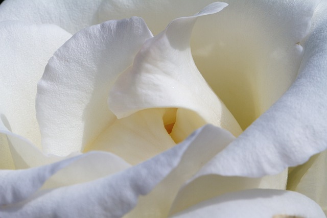 Discover Top-Rated Medical Facials Near You: Day Spa Guide