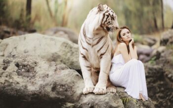 beauty-640x480-92263524.jpeg
