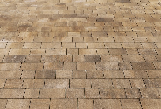 Transform Your Garage: Proven Coating Solutions for Superior Canadian Concrete Surfaces