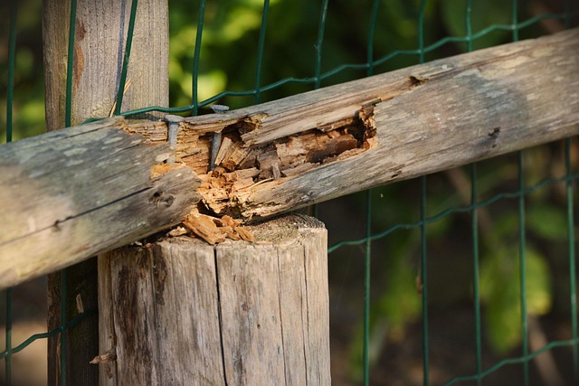 24/7 Emergency Repair Services: Protecting Your Home and Peace of Mind