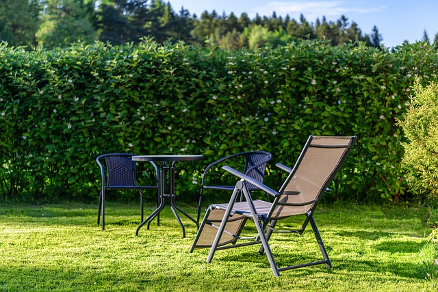 Elevate Your Yard: Patio & Walkway Installation for Lawn Care & Landscaping