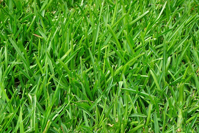 Optimize Lawn Care and Landscaping: Complete Guide to Irrigation System Installation