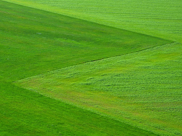 Lawn Care