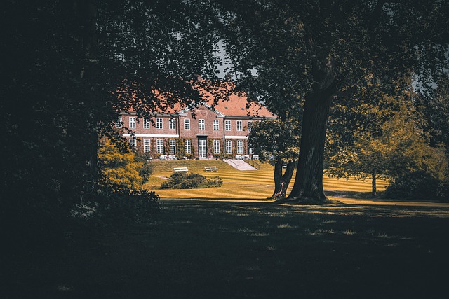 Elevate Lawn Care and Landscaping: Mulching, Edging for Health & Beauty