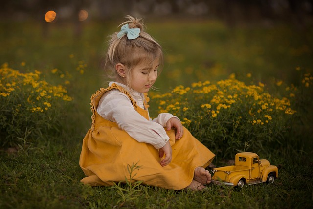 Lawn Care and Landscaping: Expert Turf Management Strategies for Year-Round Healthy Lawns