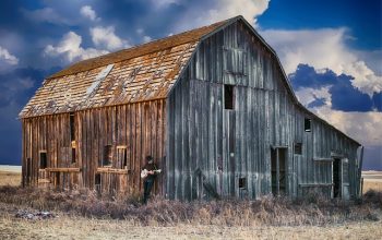 sheds-640x480-26146817.jpeg