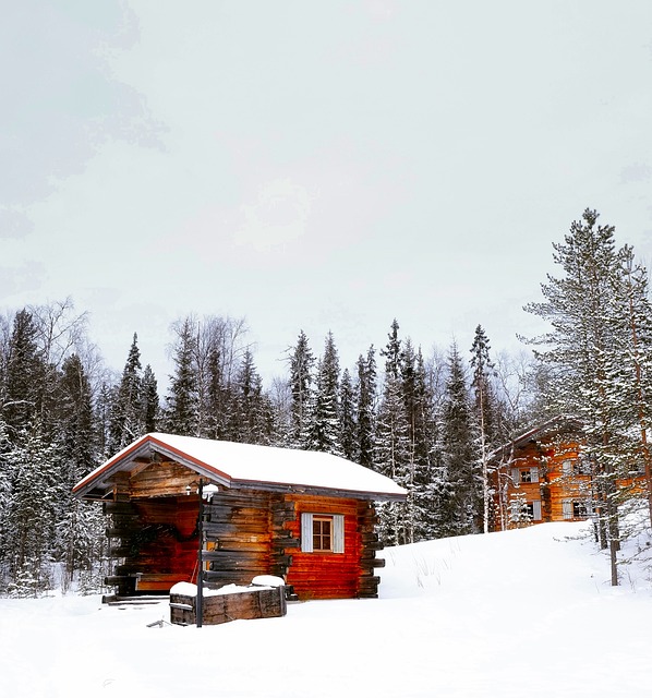 Optimizing Outdoor Storage: Essential Tips for Choosing Right Backyard Sheds