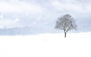 snow-removal-640x480-23856208.jpeg