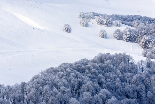 snow removal