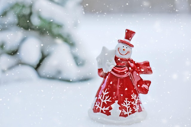 Optimizing Commercial Snow Removal: Essential Blowers and Tips
