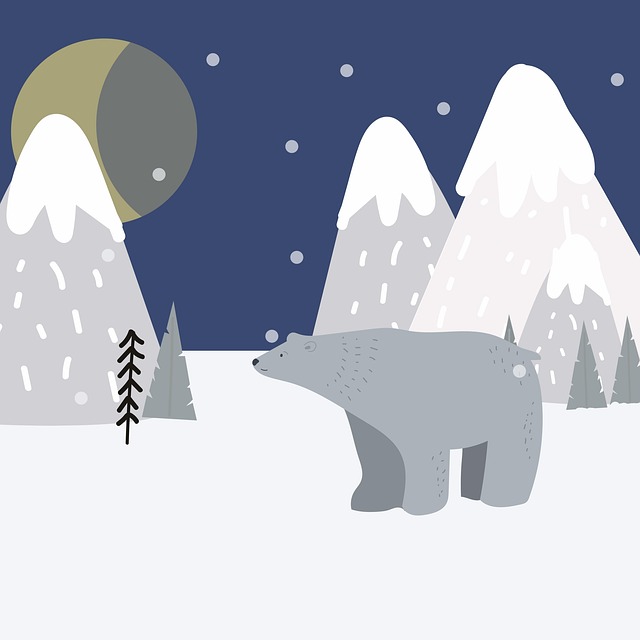 snow removal