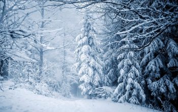 snow-removal-640x480-50044278.jpeg