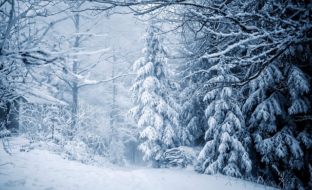 Navigating Commercial Snow Removal Rates: Strategies for Windsor Businesses
