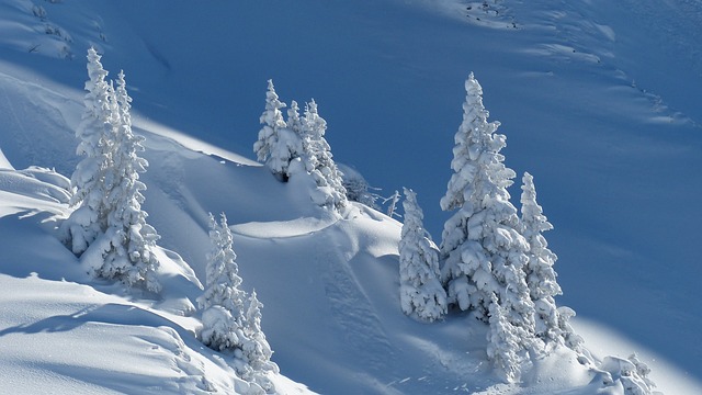 snow removal