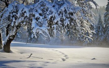snow-removal-640x480-58078692.jpeg