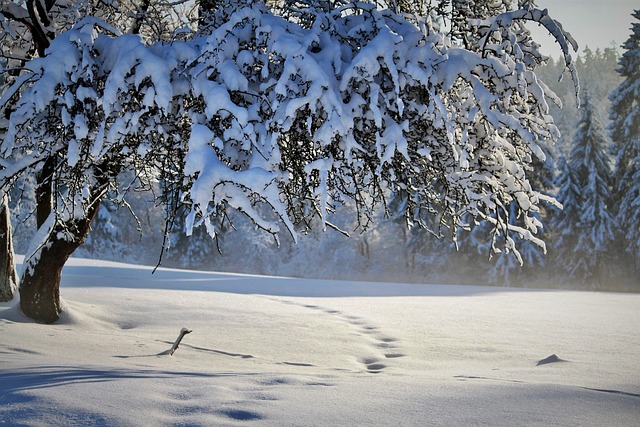 Professional Snow Removal: Streamlining Operations, Saving Time & Money