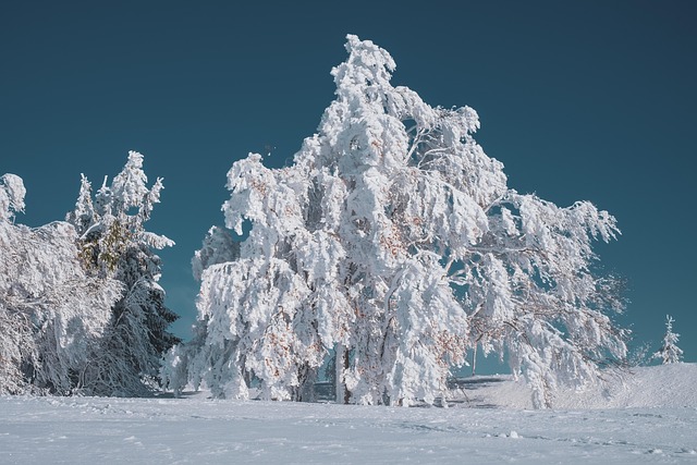 snow removal