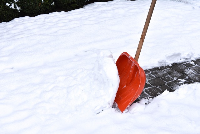 Efficient Commercial Snow Plowing: Windsor’s Proven Strategies