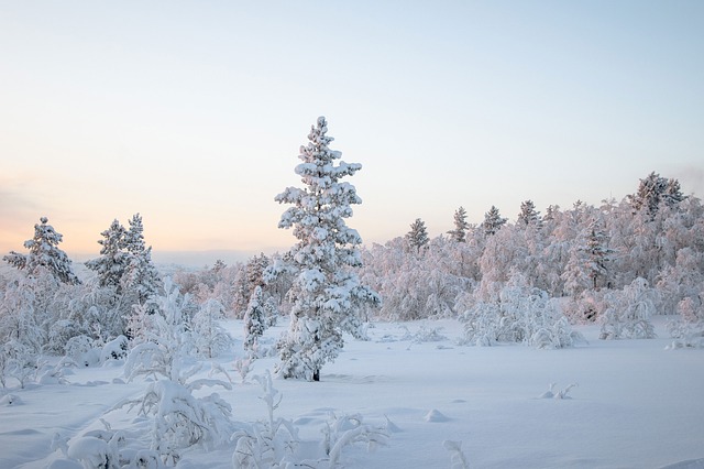 Mastering Snow Removal Contracts: A Windsor Negotiation Guide