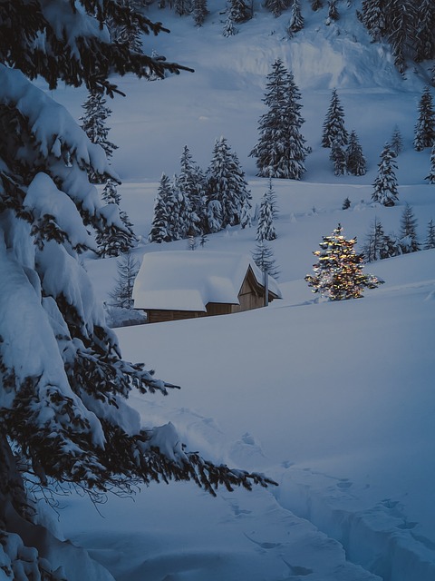 snow removal