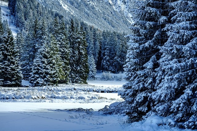 Strategic Snow Removal: Garlatti’s Cost-Effective Solutions for Commercial Success