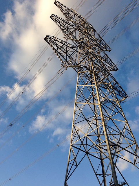 Comprehensive Guide to Navigating Ontario’s Utility Trailer Regulations