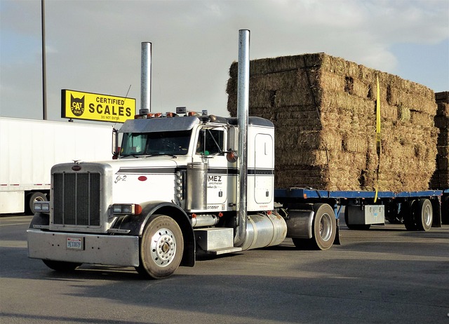 Ontario’s Top Picks: Insiders Guide to Utility Trailers