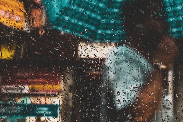 Top Basement Waterproofing Companies: Choose Experts for Your Peace of Mind