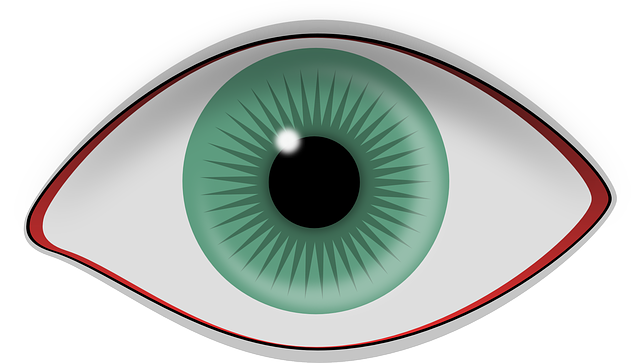Kingsville Eye Doctors: Expert Care, Clear Vision, Every Age
