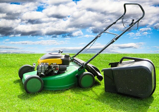 lawn-care-640x480-35120571.jpeg