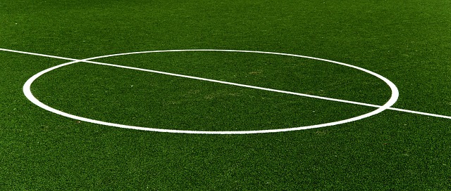 Seasonal Yard Cleanups: Efficient Lawn Care and Landscaping Services