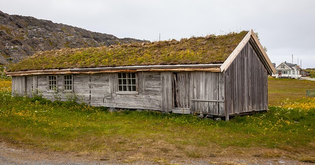 Lofted Buildings: Optimizing Urban Spaces with Top Small Garden Shed Designs