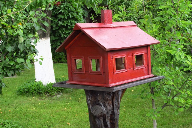 Backyard Sheds: Transforming Outdoor Spaces into Creative Enclaves
