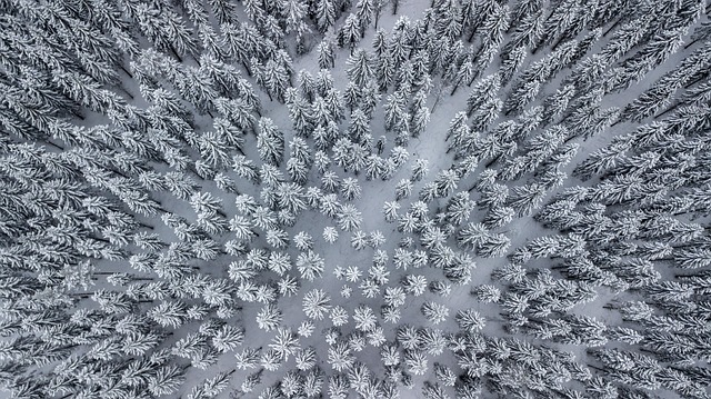 snow removal