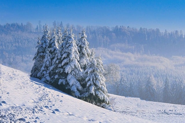 snow removal