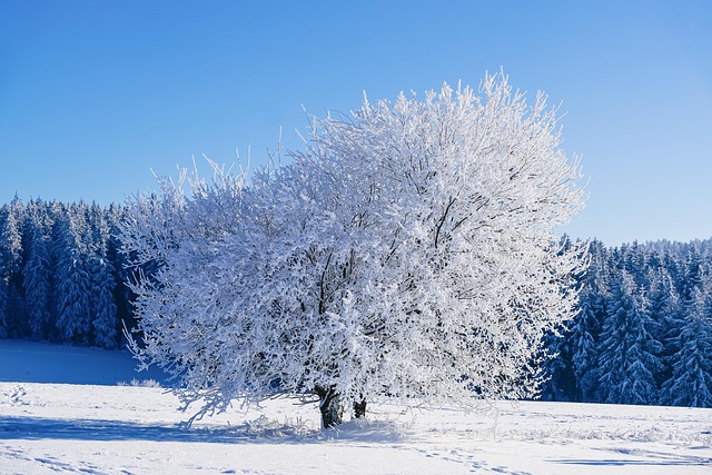 snow removal