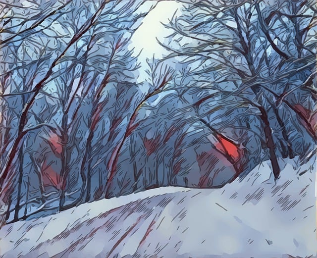 snow removal
