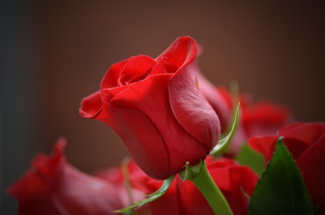 Rejuvenate Mind & Body: Benefits of a Day Spa Experience