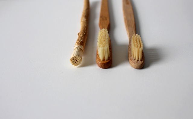 Affordable Teeth Cleaning Milton: Relax, Transform, Save – Your Comfort Zone Awaits!