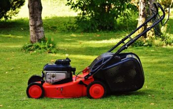 lawn-care-640x480-91317126.jpeg