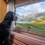 rv-camper-640x480-47313879.jpeg